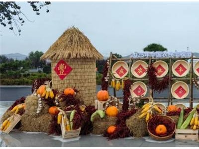 農影與拼多多共舞豐收節，電商助農繪就城鄉共慶新畫卷