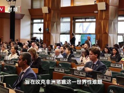 ?中國青年農創客攜“AI養豬”方案亮相聯合國糧農組織盛會 拼多多助力中國農科智慧閃耀世界?