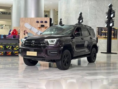 30.98萬起售！全新坦克400設計潮酷配置豪華，Hi4-Z/Hi4-T雙動力適配多場景