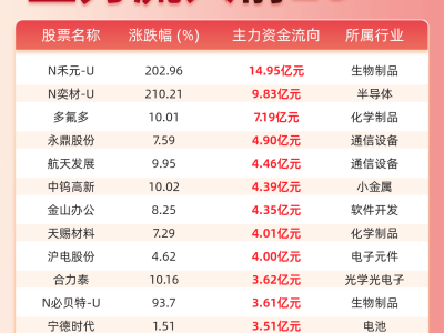 10月28日午間收盤:主力資金搶籌前20股,N禾元U與N奕材U成資金流入“領(lǐng)頭羊”