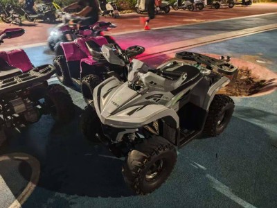 特斯拉Cyberquad兒童摩托:從搶手貨到二手4折,同城自提或成撿漏新選擇