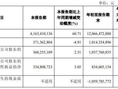 石頭科技發(fā)布三季報(bào):股價(jià)跌12.04%,前三季度營(yíng)收增但凈利潤(rùn)降近三成