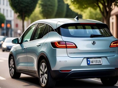 極氪009座椅電機成本揭秘:二排豪華配置占比達12%