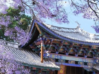 昆明熱門景點TOP10新鮮出爐!從自然到人文,一篇攻略帶你玩轉(zhuǎn)春城不踩雷