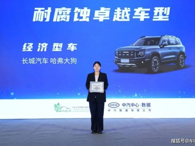 堅守長期主義!哈弗大狗憑卓越耐蝕性能成經濟型車組別唯一獲獎車型