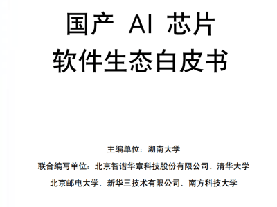 國產AI芯片軟件生態：從“可用”到“卓越”的跨越之路與未來展望