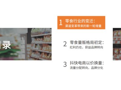 2024零食行業(yè)新動向：渠道變革驅動，探尋市場增量新路徑