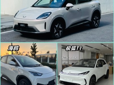 六七萬預算選家用代步電動車，繽果S、海鷗、極狐T1誰更值得入手？