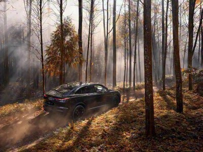 樂道L60黑騎士版官圖亮相 12月5日限量666臺上市 外觀內飾全黑化