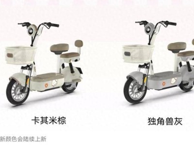 雅迪新國(guó)標(biāo)電動(dòng)車(chē)C09上市啦！前后座配車(chē)筐，配色上新滿(mǎn)足多樣需求