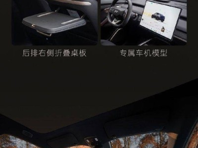 樂道L60黑騎士特別版來襲:限量666臺 全黑設計彰顯個性魅力