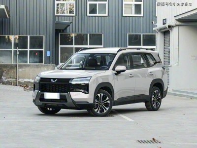 2025款星光560汽油版首發搶訂!10萬級起售,大空間5或7座靈活布局實用性強