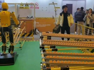 GDPS 2025探秘:從插花到救援,具身智能機器人應用加速落地