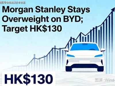 行業調整周期下,比亞迪憑何獲國際資本青睞成“香餑餑”?