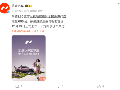 樂道L60再添新成員!紫羅蘭限定版18日交付 黑騎士版同步吸睛