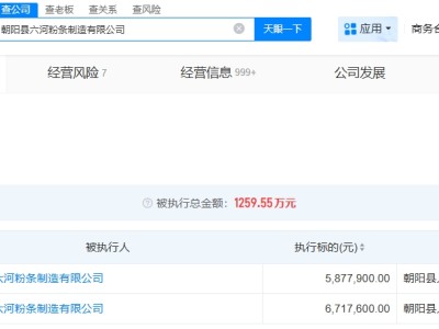 東北雨姐帶貨紅薯粉廠家被執行587萬