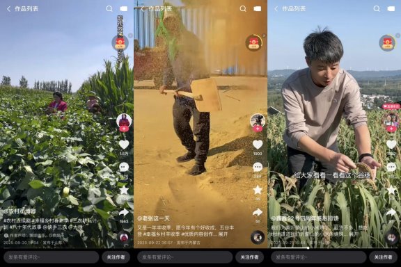 b95d08214dda8347207d11975199226